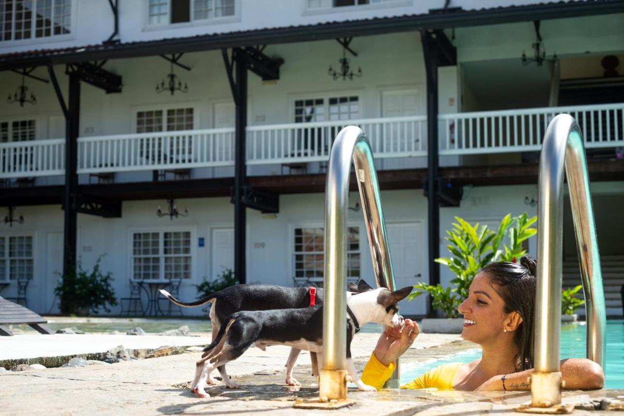 Hotel Luisiana San José Kültér fotó